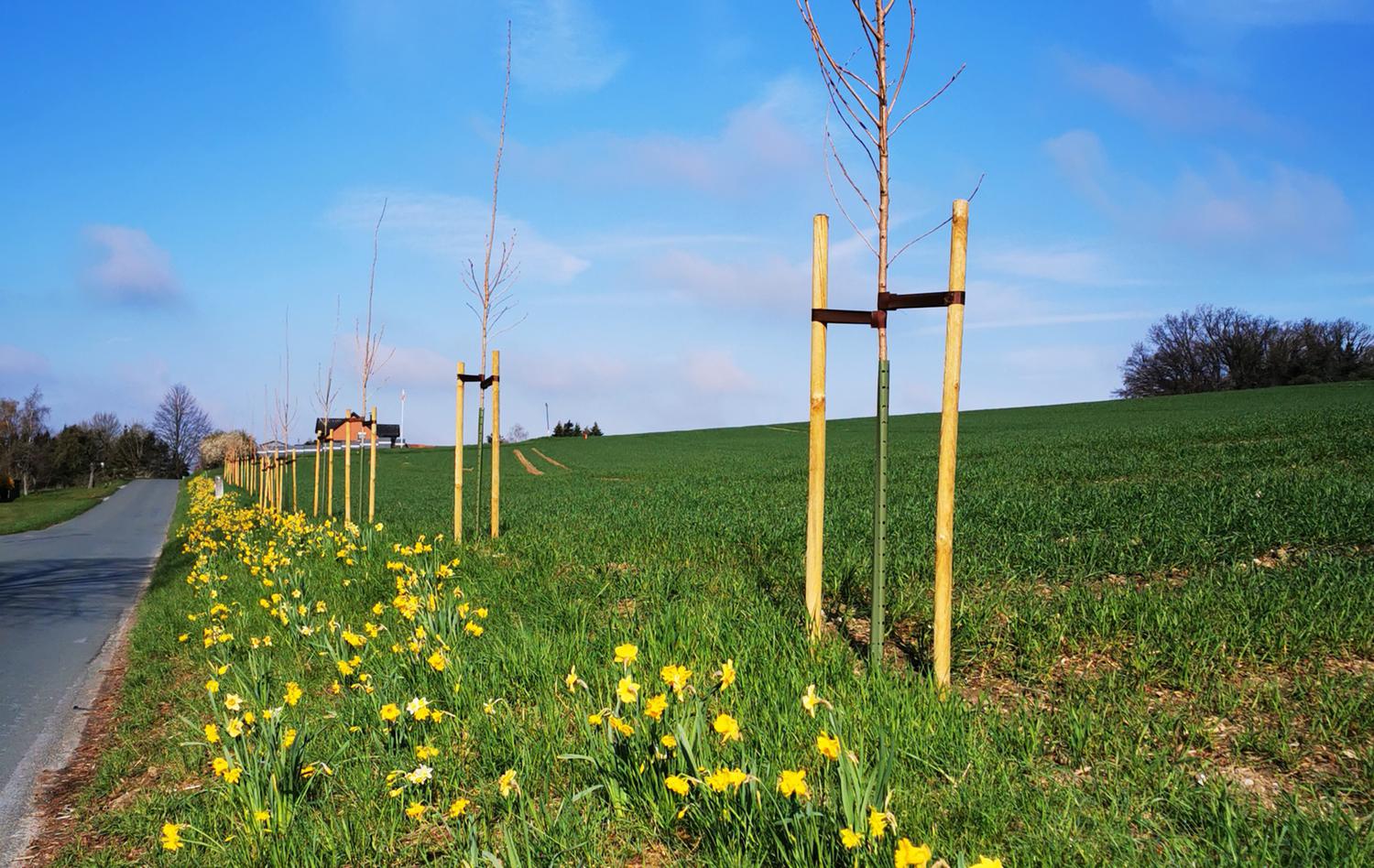 Anlegen einer Wildblumenwiese Sparkassenspende